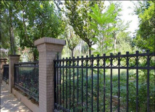 �e���Fˇ�o��