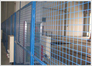 ܇�g�o(h��)�ھW(w��ng)