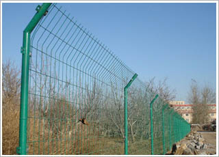 �p߅�z�o(h��)�ھW(w��ng)